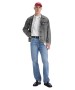 Herren Jeans 501 von Levis in Best Of Love