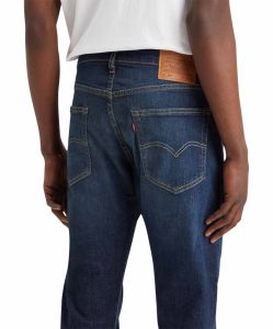 Levis Herren Taper Jeans 502 in Biologia